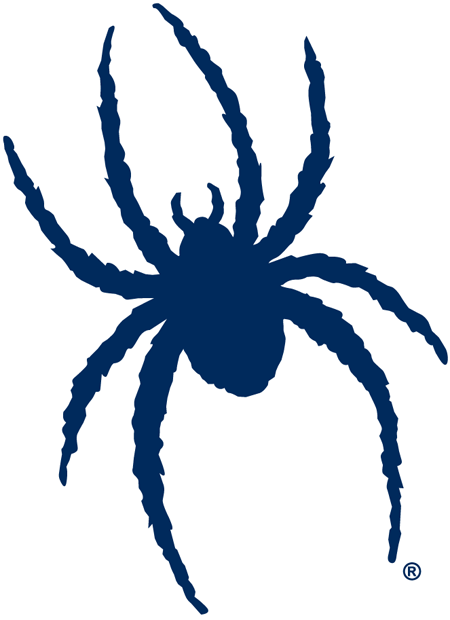 Richmond Spiders decals